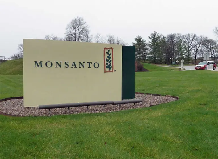 Monsanto, a punto de perder su patente en Brasil