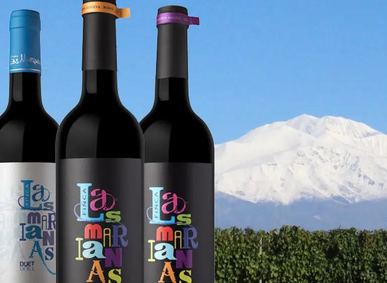 Nuevos vinos de Alto Agrelo: por qué tenés que conocer la bodega Finca las Marianas