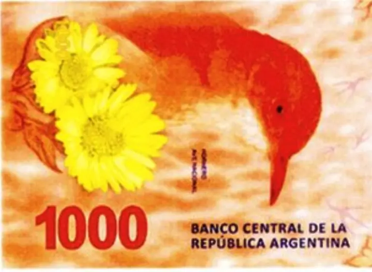 Qué animales eligió el BCRA para reemplazar los billetes de 50 y 100 pesos en 2018