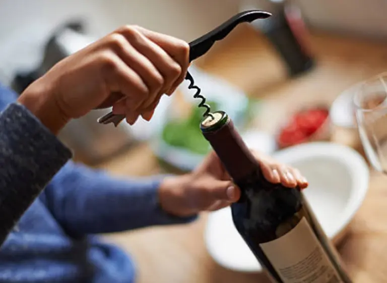 Vinos para descubrir: nuevos y buenos Malbec que no fallan, desde $200 a $1.000