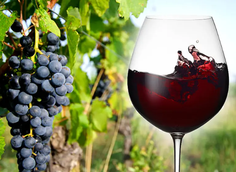 Vinos con carácter: 8 blends tintos del Norte Argentino que tenés que probar