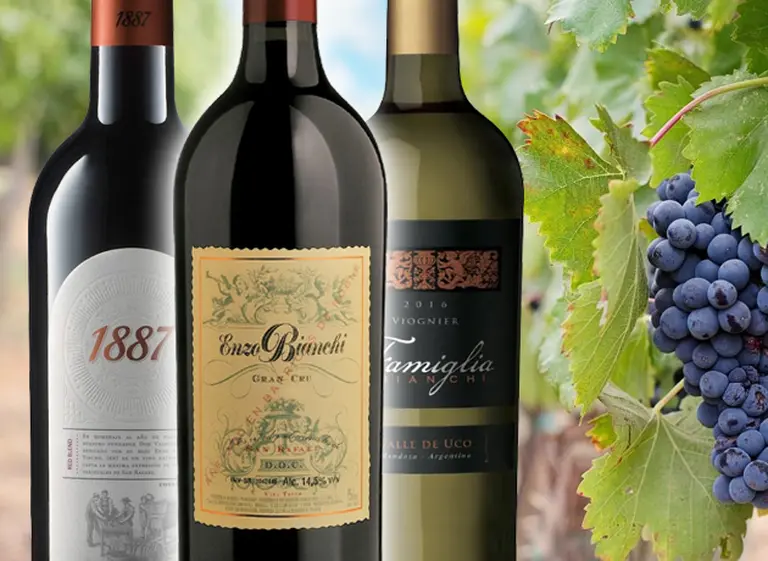 Vinos con historia y futuro: Bianchi renueva equipo enológico, pone pie en Uco y apunta a la alta gama