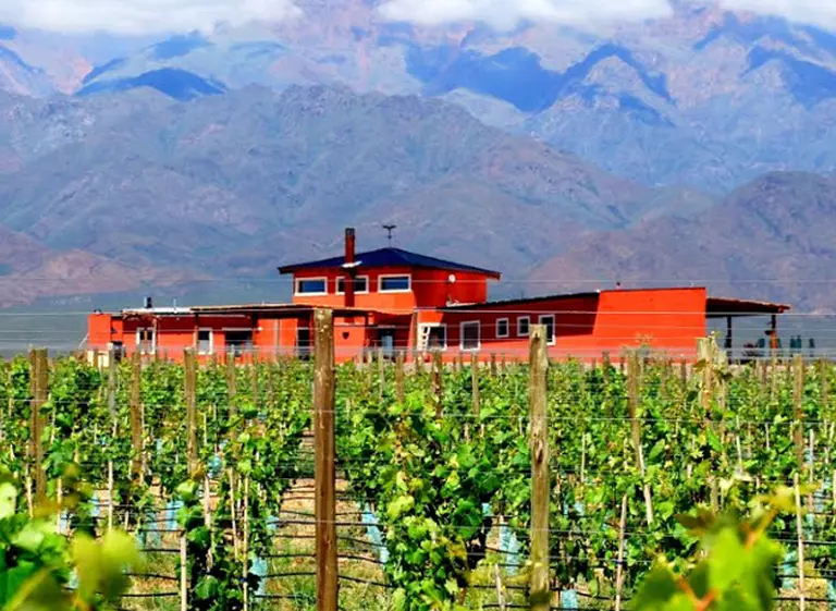 Un empresario irlandés adquirió una bodega boutique de Mendoza