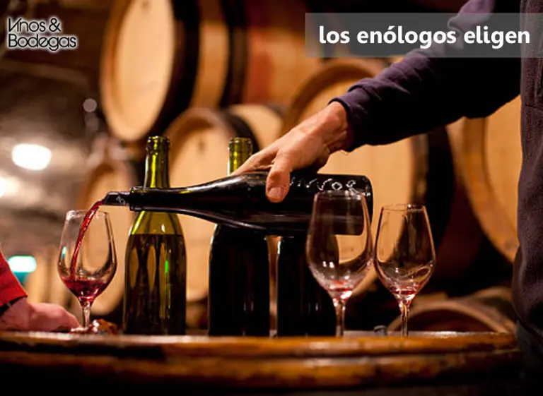 Vinos tintos, blancos y espumantes de Argentina más destacados del 2017, según 30 enólogos