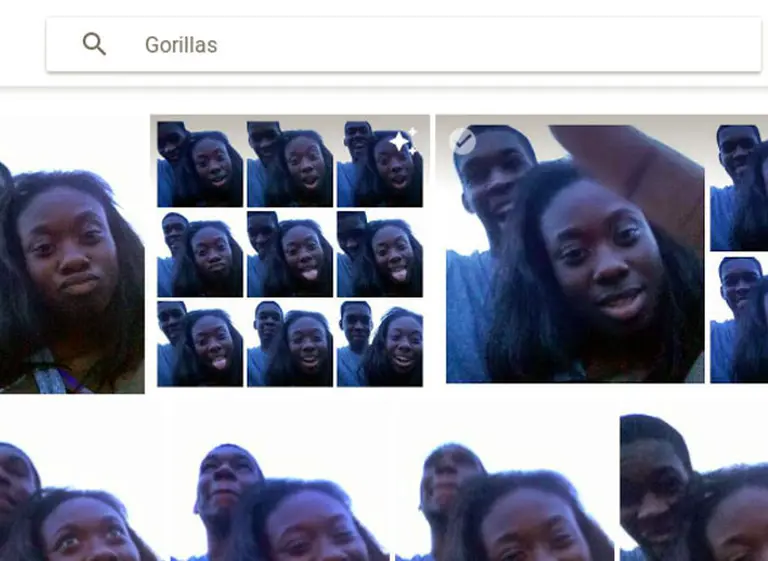 Google arregla su algoritmo "racista" borrando las palabras "mono" y "gorila"