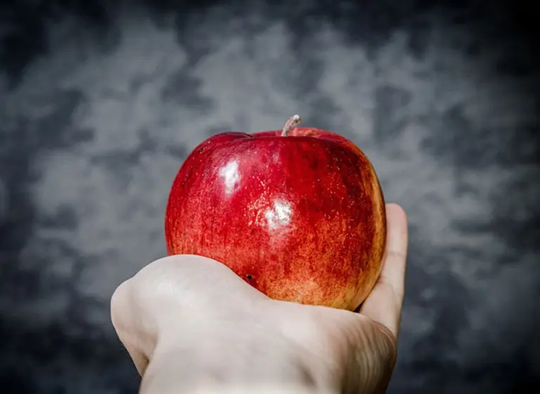 Revelación: el "fruto prohibido" de la Biblia no es lo que se creí­a