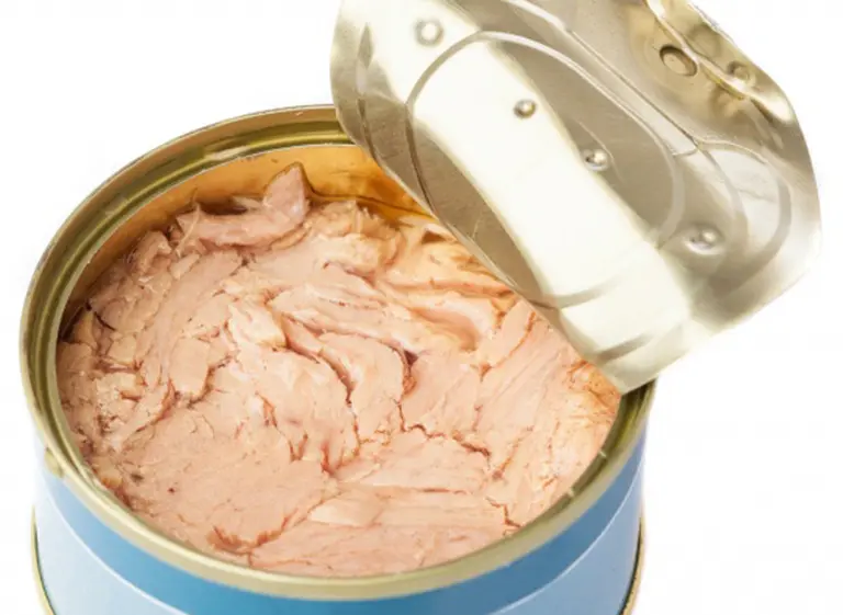 Por qué no se deberí­a comer atún en lata, según los especialistas