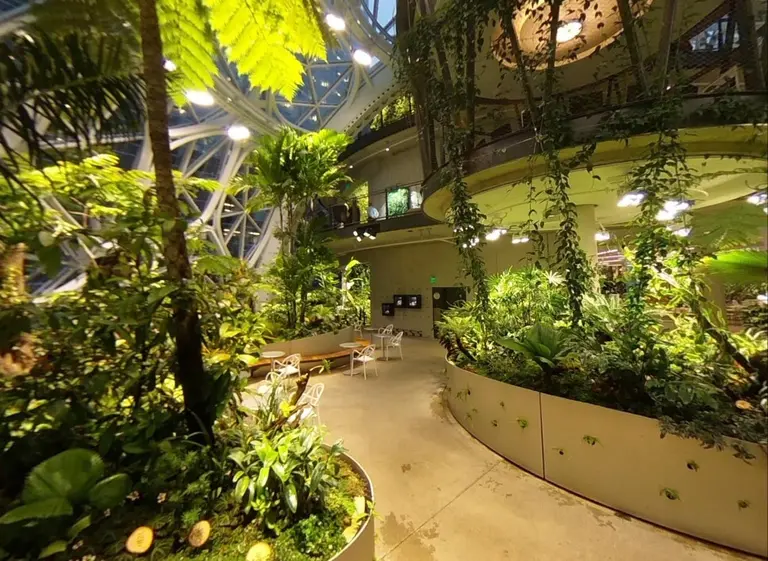 Cómo son las "esferas", el nuevo campus de Amazon que ahora abrió al público