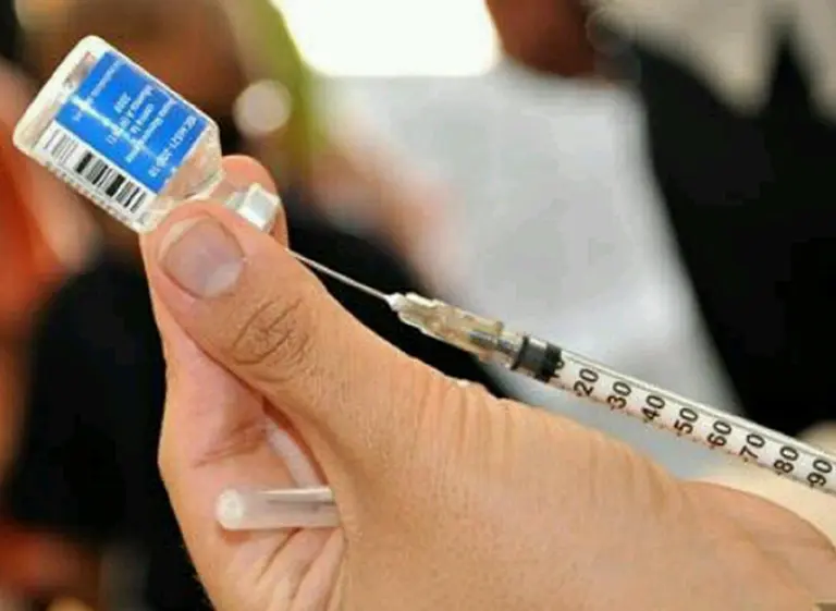 Fiebre amarilla: nuevas recomendaciones para los turistas que viajen a Brasil