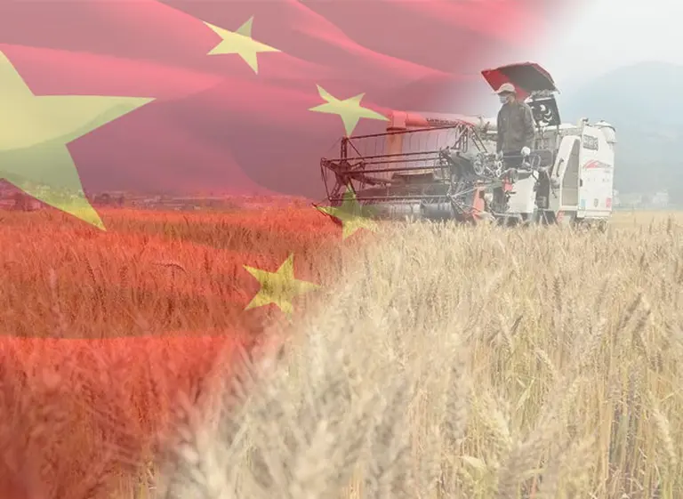 China compra tierras en el extranjero y pone el foco sobre la Argentina