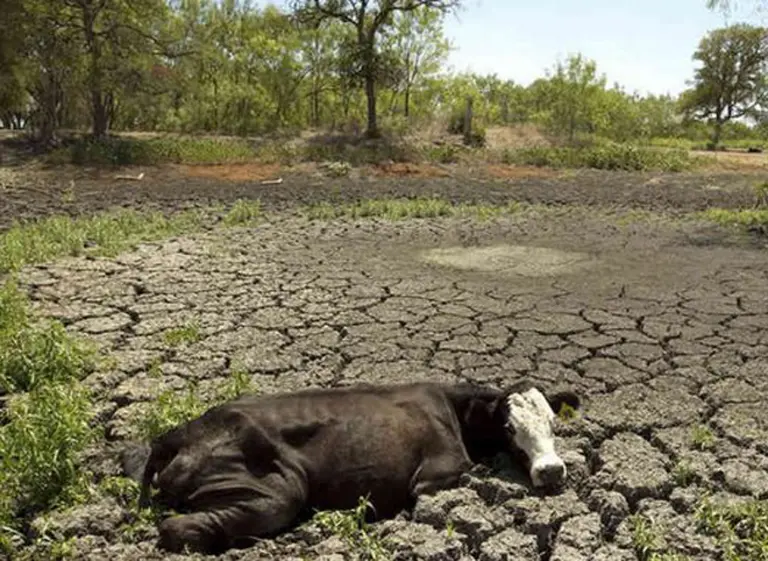 Para la Federación Agraria, las pérdidas por la sequí­a podrí­an llegar a u$s3.000 millones