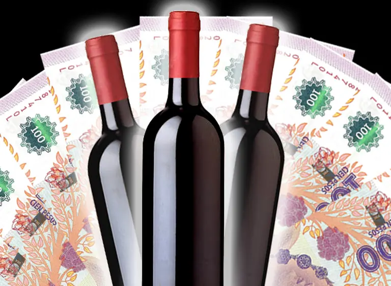 Vinos para cuidar el bolsillo: 15 ricos Malbec que no fallan y por poca plata