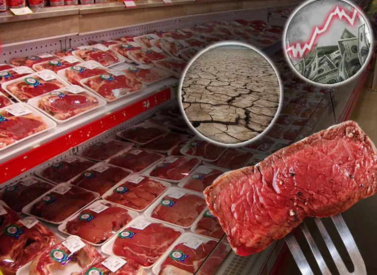 Shock en las carnicerí­as: por "efecto sequí­a más dólar" se prevé aceleración de los precios a partir de este mes
