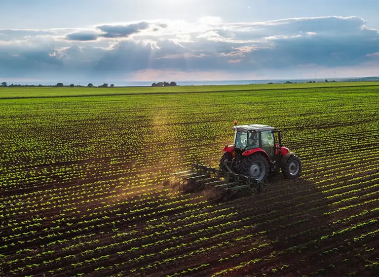 Una aplicación ya cubre millones de hectáreas en la Argentina con sus pronósticos climáticos