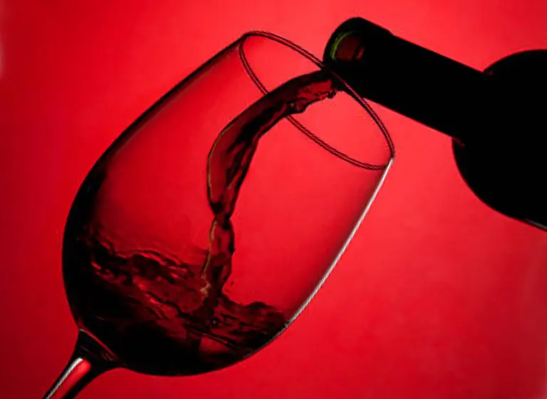 En la semana del Malbec, 10 datos curiosos que revelan por qué es el vino más exitoso de la Argentina