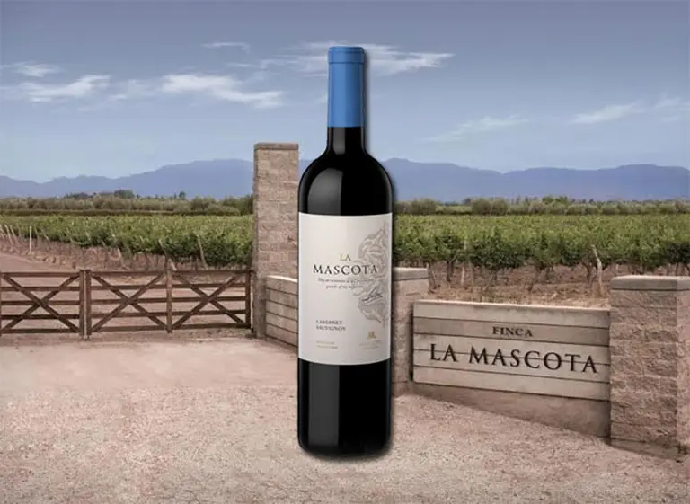 Un Cabernet argentino fue elegido como el mejor vino tinto del mundo
