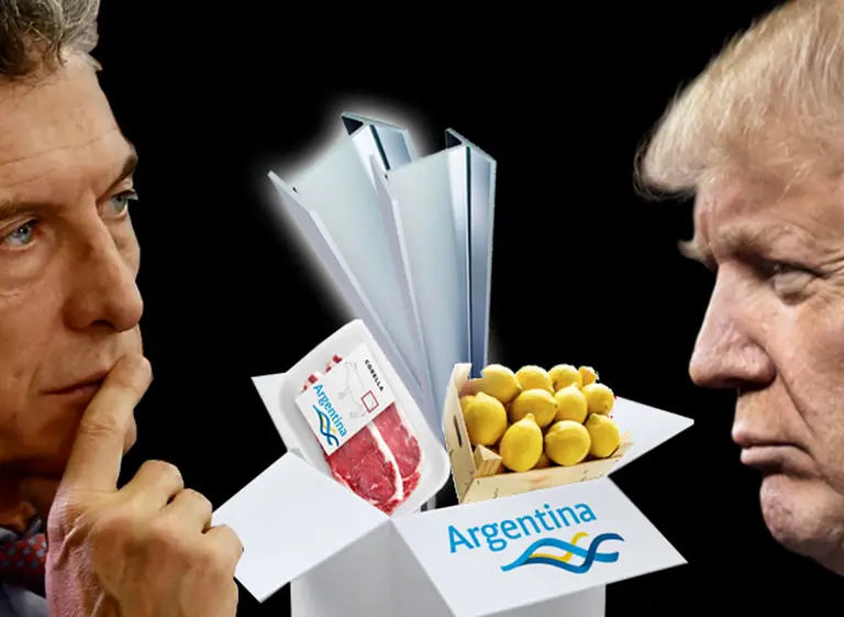 Acero, carne y limones: qué puede perder y ganar el Gobierno en la pulseada con un Trump "anti importaciones"