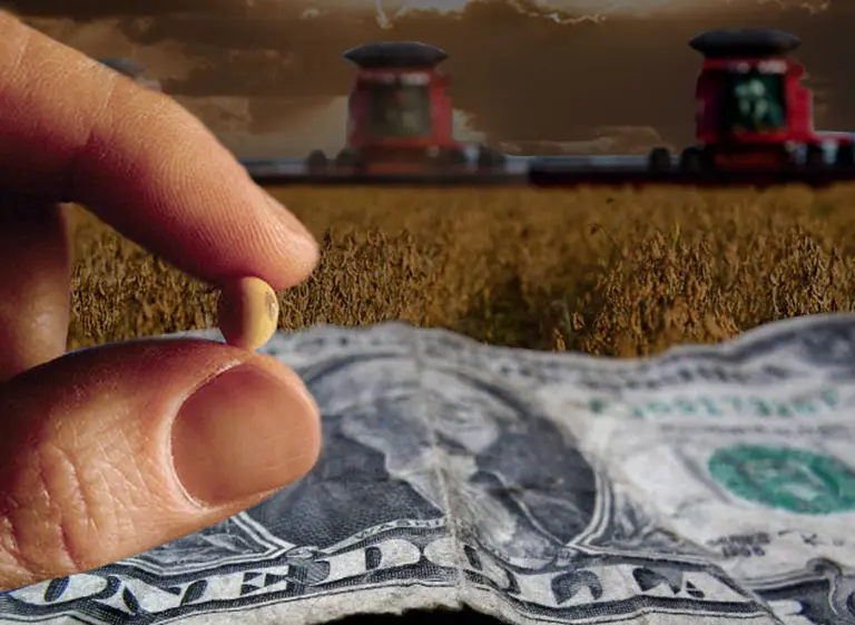 Dólar, soja y tasa: por qué la "bicicleta financiera" con las Lebac ahora puede ayudar al Banco Central