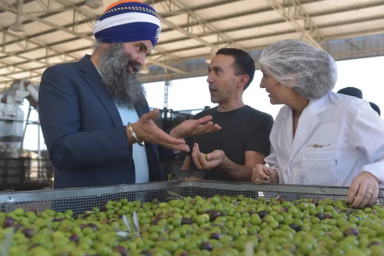 De California a La Rioja: variopinta misión de EE.UU. ya explora oportunidades de negocios en energí­a, alimentos y turismo