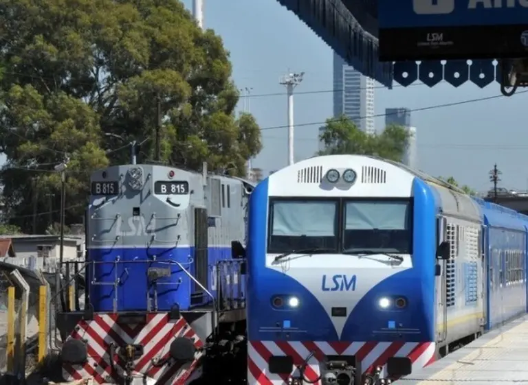 Por una invasión de insectos, debieron desinfectar dos trenes de la lí­nea San Martí­n