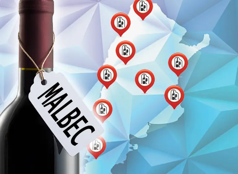La guí­a del Malbec: 18 vinos de Salta, Córdoba, Tucumán, Patagonia y Entre Rí­os para celebrar su dí­a