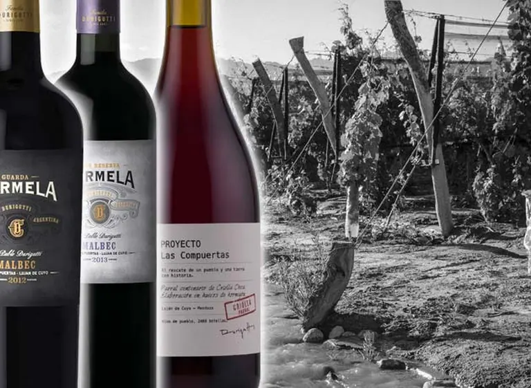 Por qué tenés que conocer los vinos de Durigutti de Las Compuertas, el gran hotspot de Luján de Cuyo