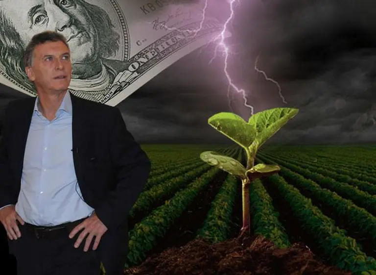 Vuelve el canuto a la soja: Carrió habló con el corazón, pero el campo mira al dólar y le responde con el bolsillo