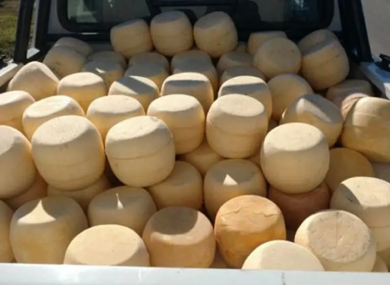Clausuraron dos plantas lácteas cordobesas y decomisaron casi 1.200 hormas de quesos