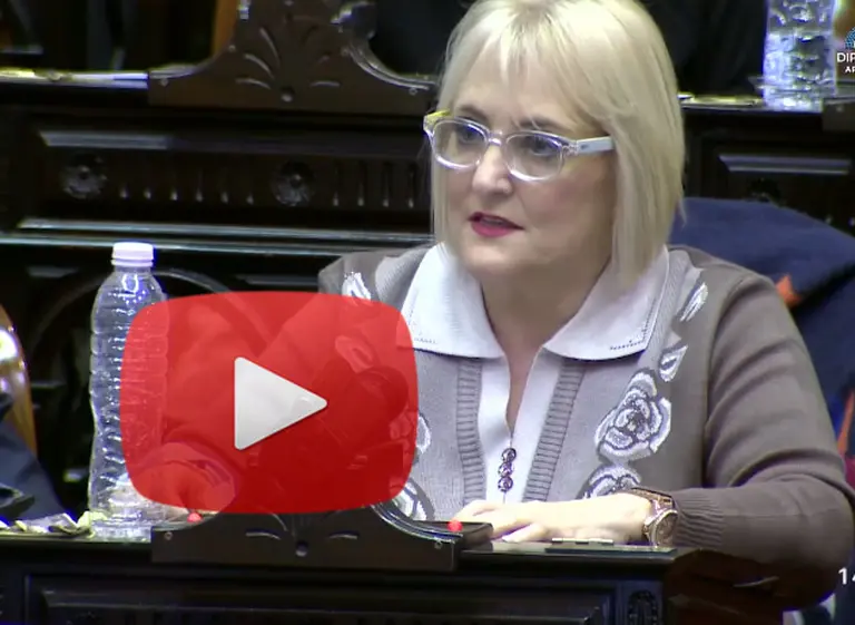 Despenalización del aborto: diputada advirtió sobre tráfico de "cerebros e hí­gados de fetos"