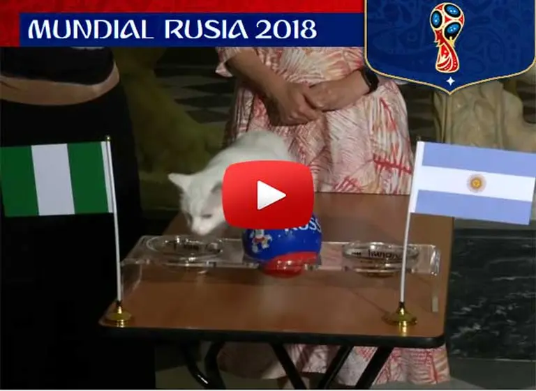 La Argentina le rompió el récord al gato Aquiles, que vení­a invicto