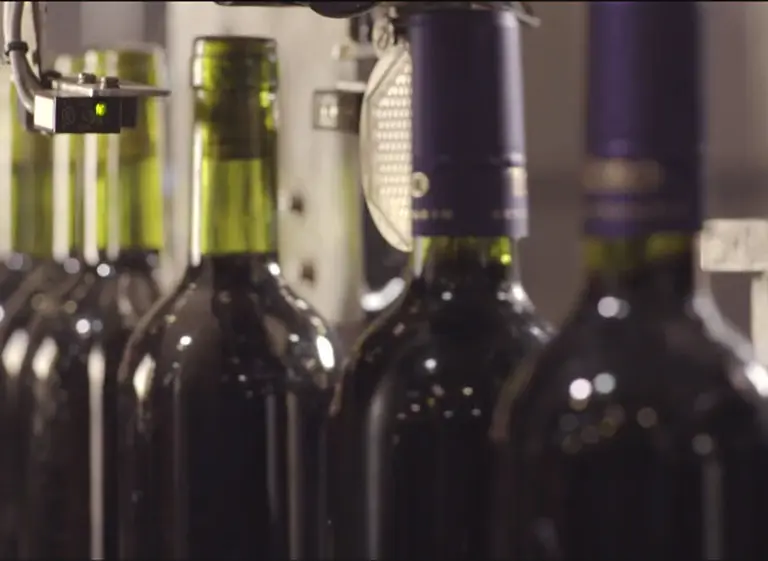 Fecovita: el desafí­o de una cooperativa para competir en el mundo del vino