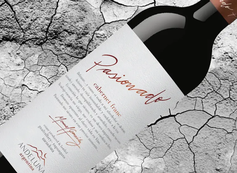 Pasado, presente y futuro de uno de los mejores Cabernet Franc de Argentina