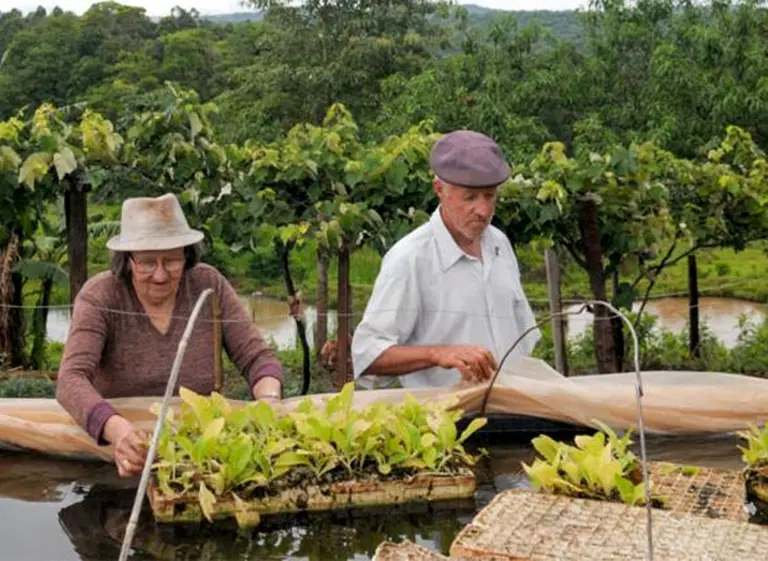 Monotributo Social Agropecuario: llaman a reempadronamiento