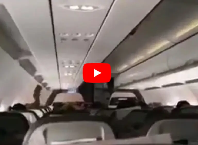 Video: así­ anunció un piloto chileno la derrota de Argentina ante Francia en pleno vuelo