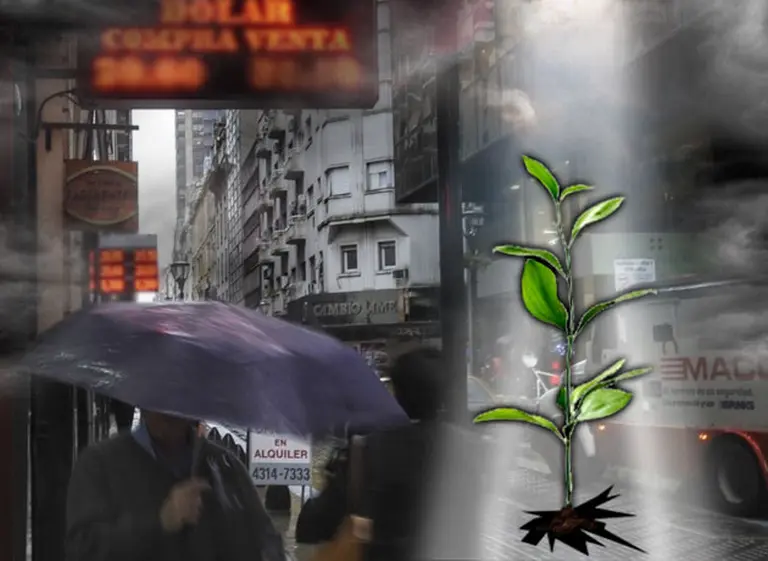 Una buena para el Gobierno: con dólar alto, el campo apunta a generar más de u$s30.000 millones