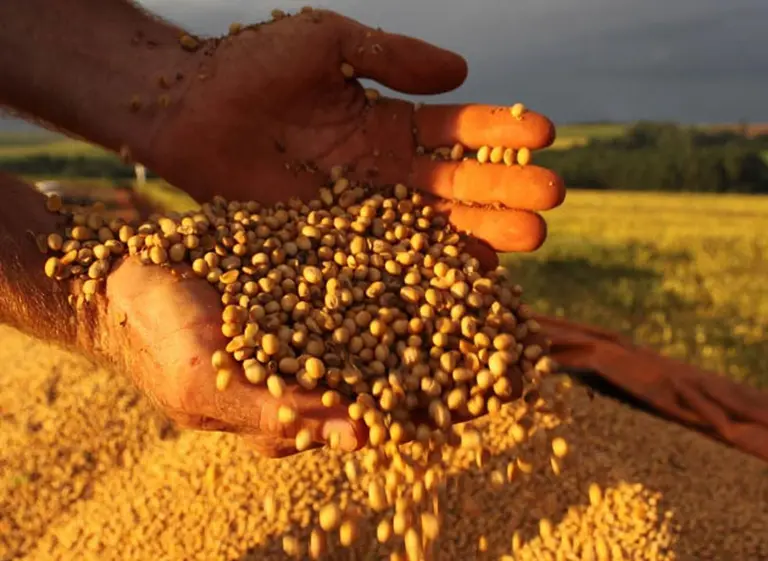 Un "descuido" del Gobierno provocó una pérdida millonaria: no cerró el registro de exportación antes de anunciar cambios en retenciones