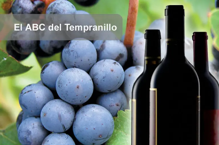 ABC del Tempranillo: 10 claves para conocer las cualidades de esta cepa