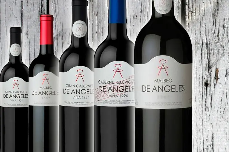 Update: cinco vinos ideales para redescubrir Bodega De Ángeles