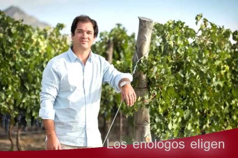Ciclo “los enólogos eligen”: ¿cuál es el vino más destacado del 2015 para Alejandro Nesman?