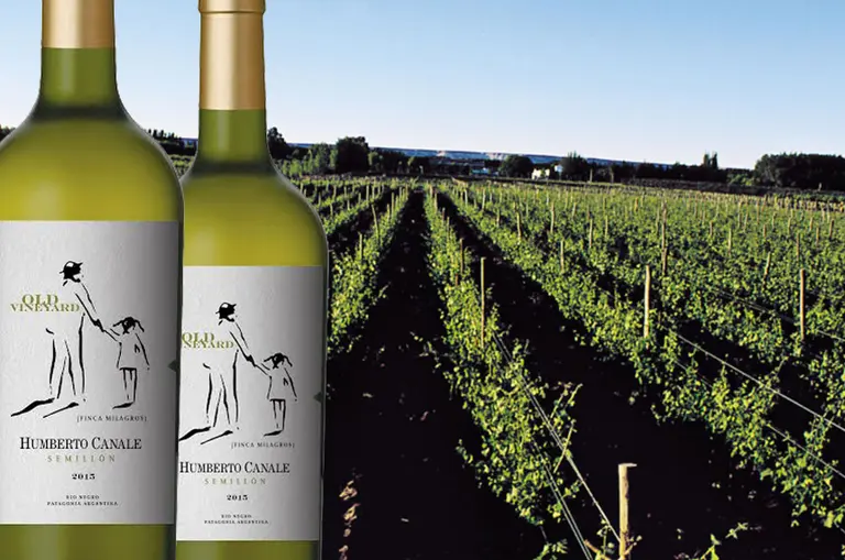 Se consolida el boom del Semillón: nueva etiqueta de Humberto Canale