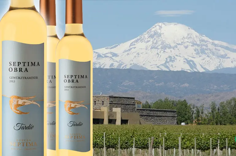 Ideal para el otoño: Bodega Séptima lanza un tardío de Gewürztraminer