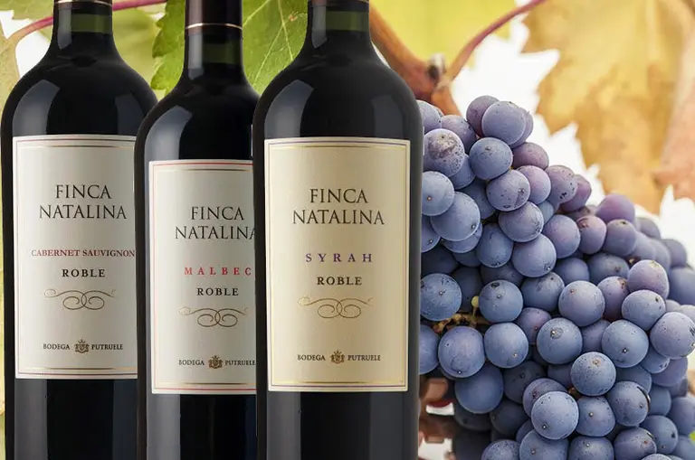 Desde San Juan, Putruele presenta su línea de vinos Finca Natalina Roble