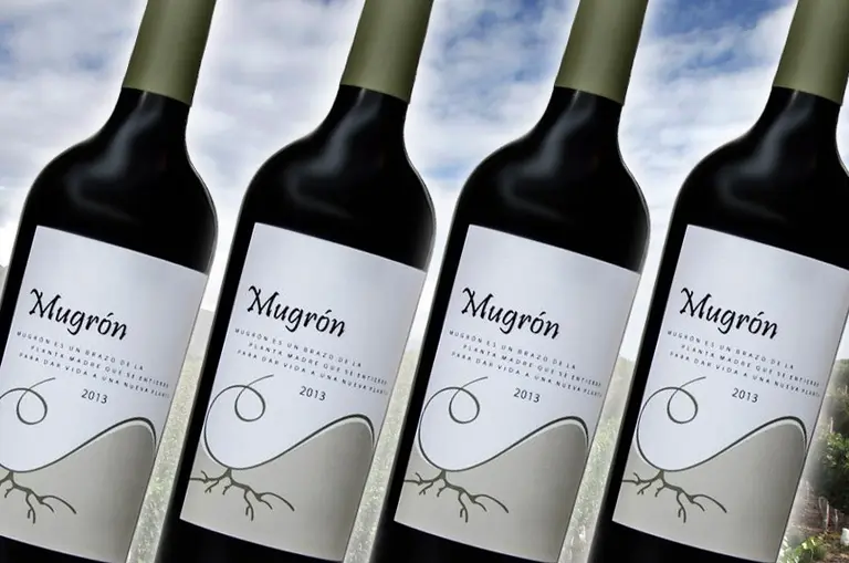 Desde el Norte llega Mugrón, uno de los vinos más trascendentes del 2016