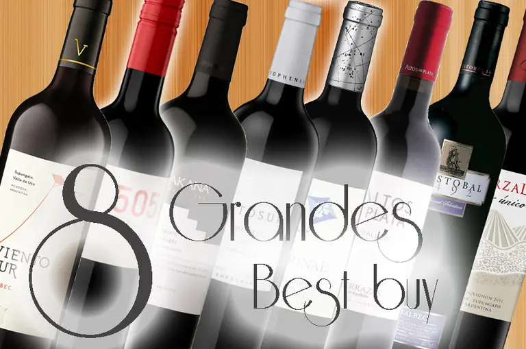 Vinos recomendados: ocho grandes best value para tener en casa