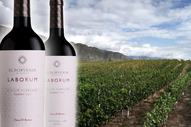 Llega la nueva cosecha de Laborum Tannat, un clásico salteño