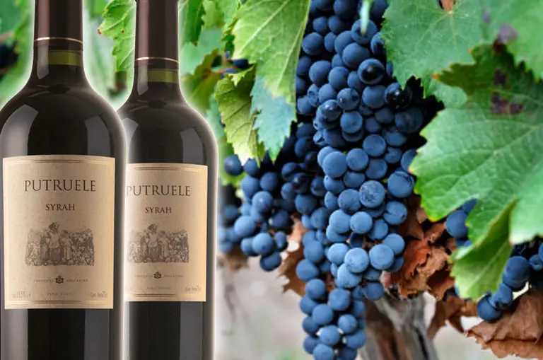 Desde San Juan, Putruele presenta la nueva cosecha de su Syrah
