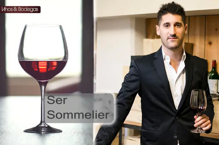 El decálogo: qué significa ser sommelier para Matías Prezioso