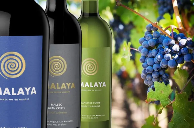 Cinco vinos de Bodega Amalaya que resumen el espíritu del Valle de Cafayate