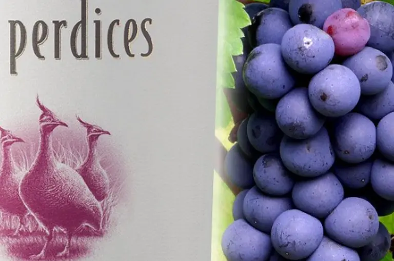 Adelanto: así es el plan que desarrolló Viña Las Perdices para producir vinos en el Valle de Uco