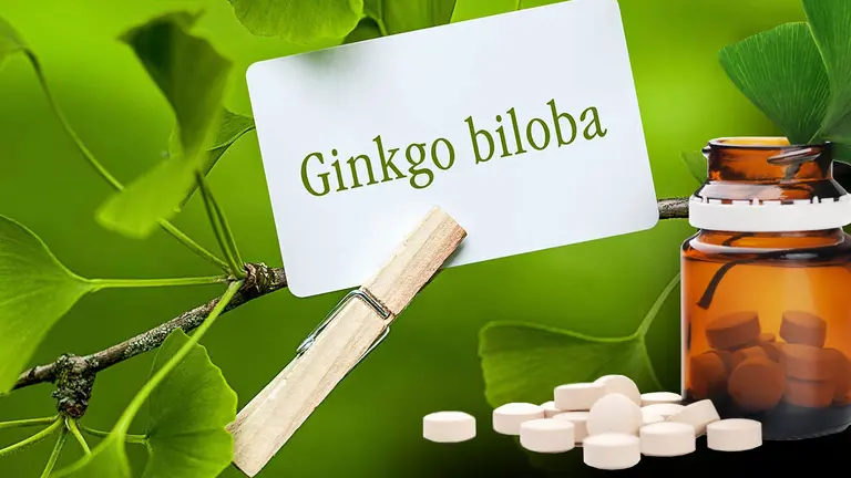 Ginkgo Biloba, un remedio de alto consumo y poca evidencia científica